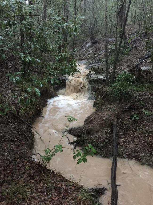 A development is planned over this gully at Springfield, which has running water when it rains heavily.