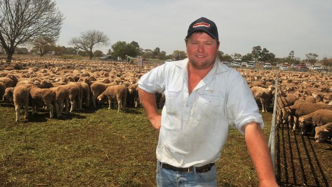 John Porter of Miegunyah at Booroorban with his young ewes which fetched $202 at the Hay sheep sale. Picture: James Wagstaff