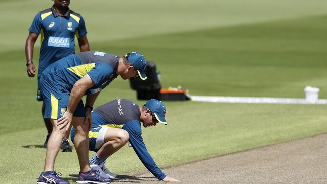 Tim Paine inspects the pitch during the Australia Nets Session at Edgbaston this week.