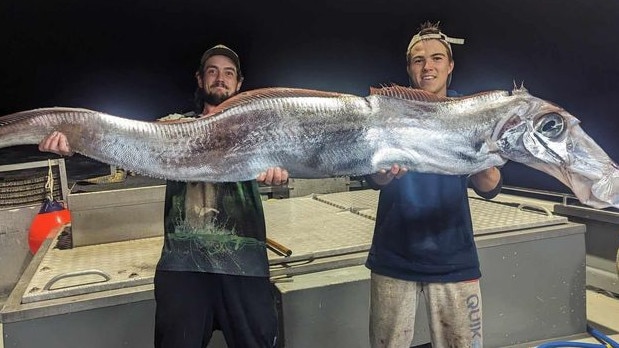 Curtis Peterson from Tiwi Islands Adventures reeled in this creature from the deep. Picture: Fishing Australia TV Facebook.