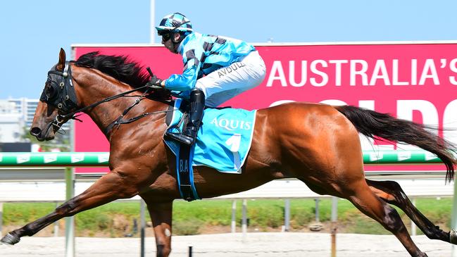 Farnan impresed in a gallop between races on the Gold Coast.