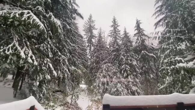 Heavy Snowfall Causes Power Outages in Western Washington State ...