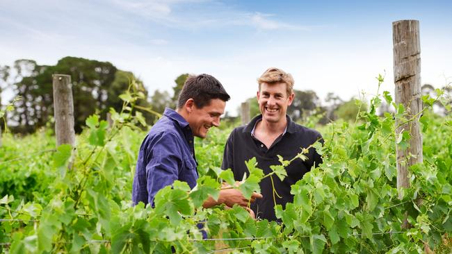 Alister Timms, winemaker and vineyard manager from Shadowfax Winery.