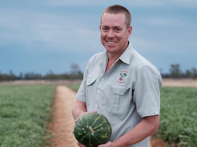 ON THE FARM: Chinchilla melon farmer Terry O'Leary has been busy spraying his crops to prevent fungal infections following minor damage from a freak hail storm in late October. Photo Matthew Newton / Chinchilla News