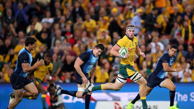 Ipswich Grammar lock Izack Rodda playing for the Wallabies against Argentina at Suncorp Stadium. Picture: Getty Images/Cameron Spencer.