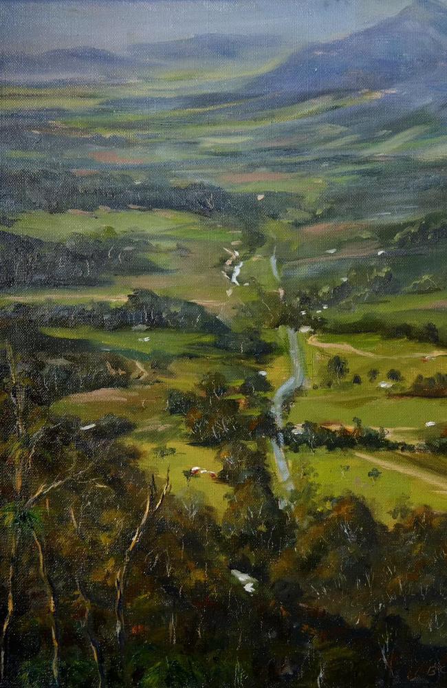 'Plein Air Study Eungella' by Bradley Short won Overall Winner at the Woollam Art on Show Awards 2024, as selected by HOTA director Susi Muddiman.