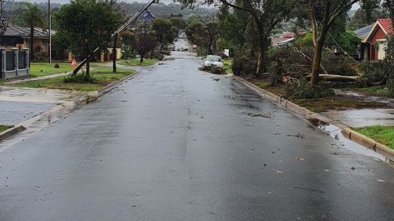 Storm damage in the Salisbury area is significant and requires clearing trees before electrical repair works can commence Picture: SA Power Networks