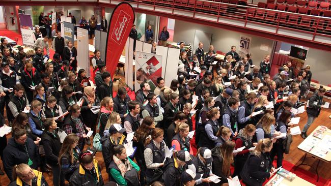 PAST YEARS: The Intercollegiate Meat Judging careers expo and conference usual attract around 150 students plus industry experts, but heads online for 2020. Picture: Contributed