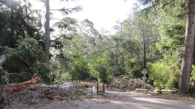 Fallen trees have been an issue at the park. Picture: Dale Morgan/Facebook.