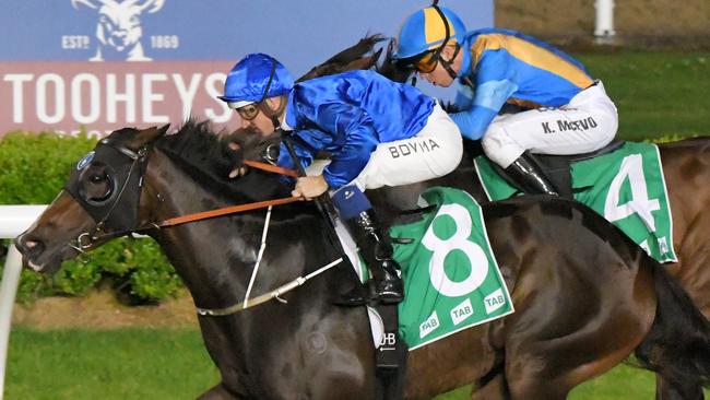 Taniko has been one of the big firmers at Randwick. Picture: AAP