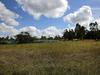 Signs of change emerging in booming property market