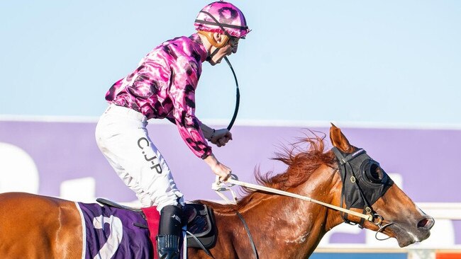 Ripcord launched to win the Placid Ark Stakes for trainer Luke Fernie and jockey Clint Johnston-Porter. Picture: Western Racepix