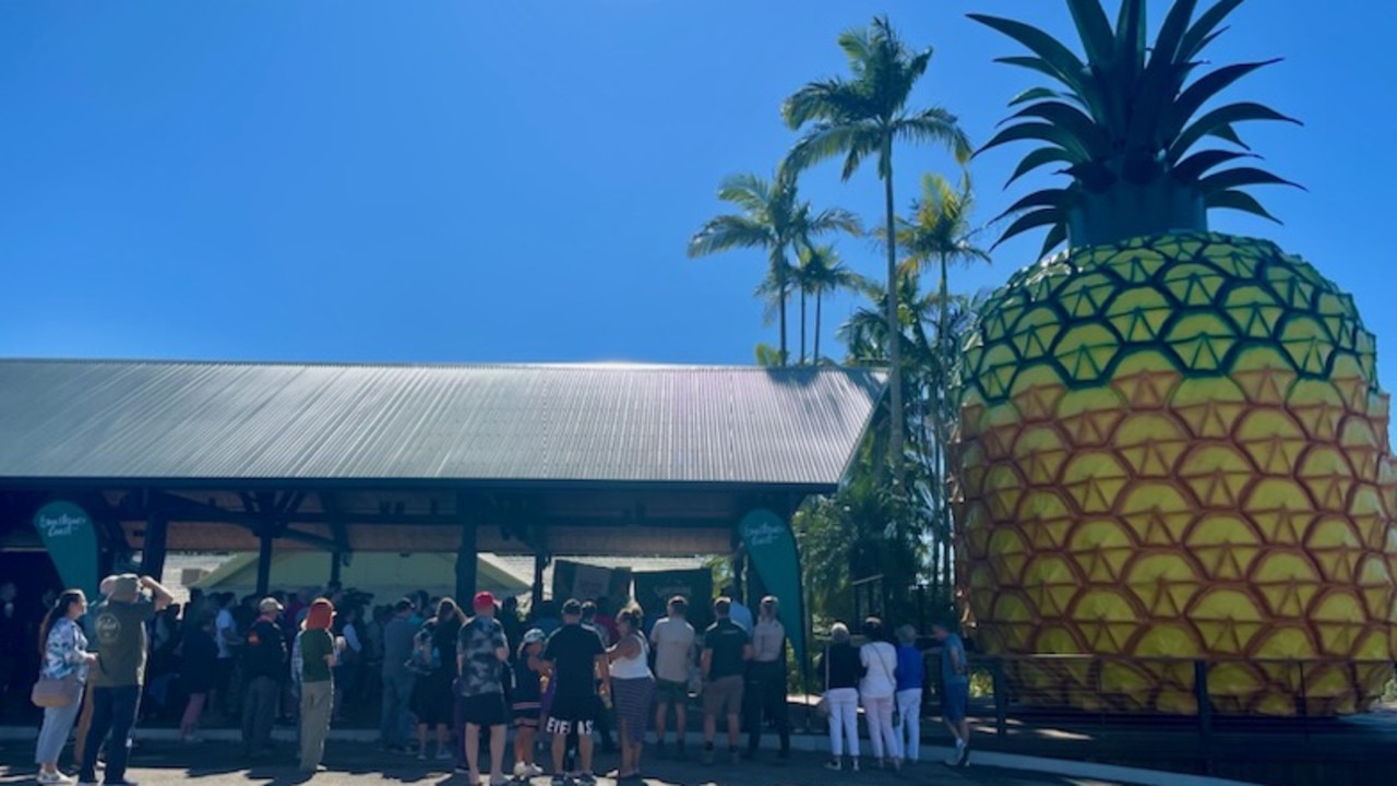 The Big Pineapple still draws a crowd today. Photo: Michele Sternberg/Visit Sunshine Coast