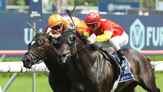 Imperatriz’s only previous Sydney outing was when being defeated right on the line by Artorius in the Group 1 Canterbury Stakes last year Picture: Jeremy Ng/Getty Images