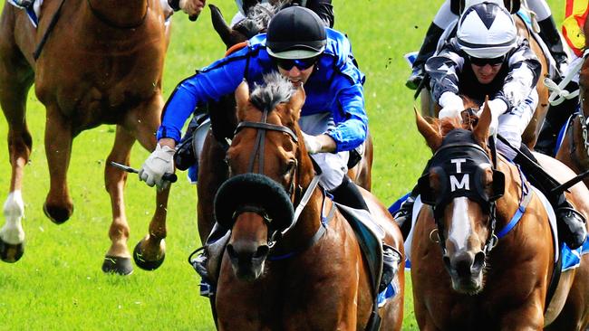 Can Happy Clapper take out the Epsom? Picture: Jenny Evans