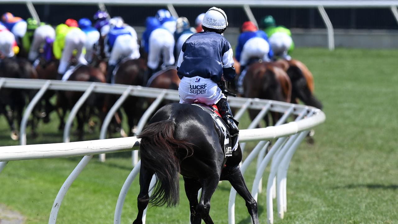 CliffsofMoher pulled up injured in 2018 and had to be euthanised. (AAP Image/Dan Himbrechts)