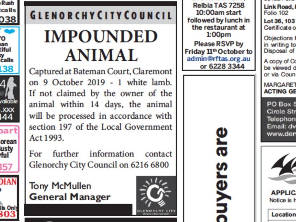 The Glenorchy City Council’s ad for the lost lamb in Friday's <i>Mercury</i>.