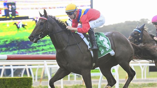 The Kim Waugh-trained Bojangles can kick off his latest campaign on a winning note at Hawkesbury. Picture: Bradley Photos