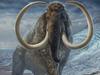 An illustration of an adult male woolly mammoth navigates a mountain pass in Arctic Alaska, 17,100 years ago. The image is produced from an original, life-size painting by paleo artist James Havens, which is housed at the University of Alaska Museum of the North.