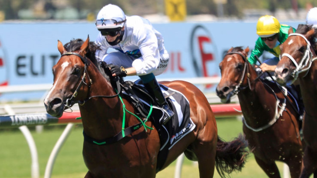 SYDNEY, AUSTRALIA - JANUARY 23: Robbie Dolan on Stay Inside wins race 1 the Paul Hoffmann Handicap during Sydney Racing at Royal Randwick Racecourse on January 23, 2021 in Sydney, Australia. (Photo by Mark Evans/Getty Images)