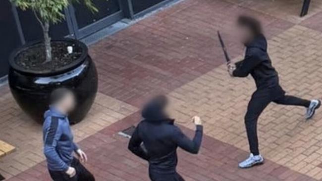 Victoria moved to immediately ban the sale of machetes after a spate of alleged crimes.