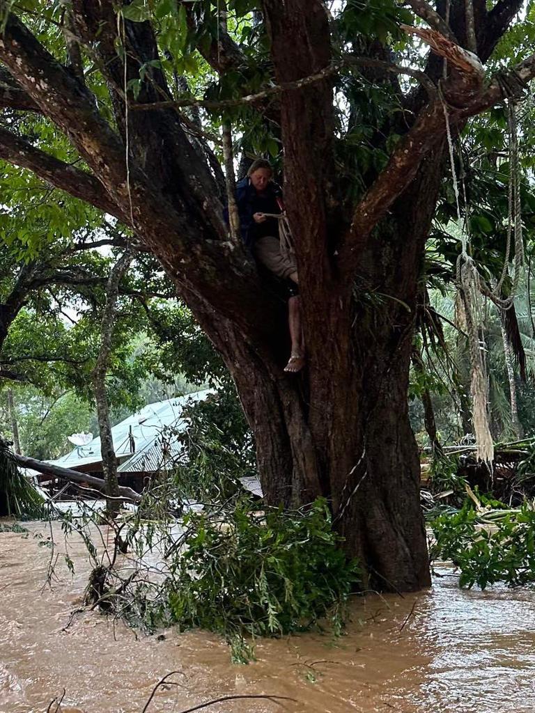 The tree in which Sana and Alec Dunn's parents were found where they waited more than 12 hours to be rescued as floodwaters raged through Bloomfield. Picture: Supplied