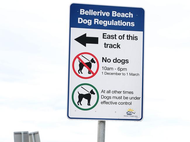 A Clarence City Council proposal would ban dogs from all parts of Bellerive Beach. Picture: Nikki Davis-Jones