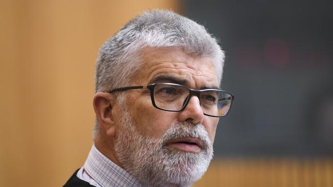 Kim Carr in estimates yesterday. Picture: AAP