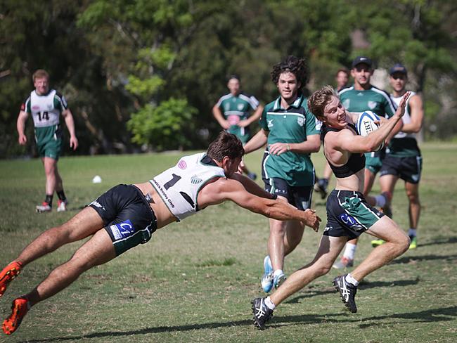 Randwick Rugby putting in the hard yards in their pre-season training.