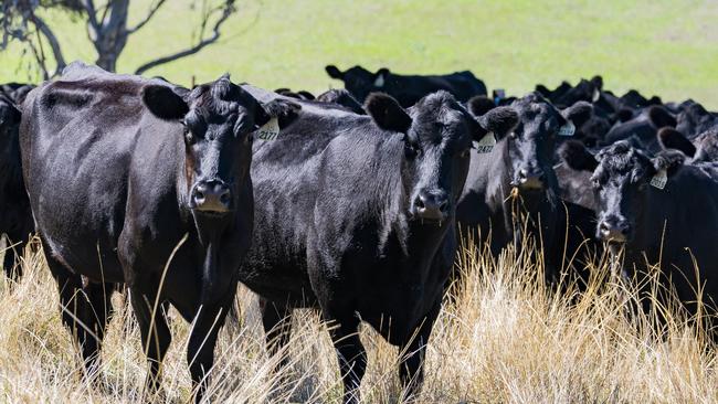 Gilgal Station will be run as a regenerative livestock enterprise after its recent sale.