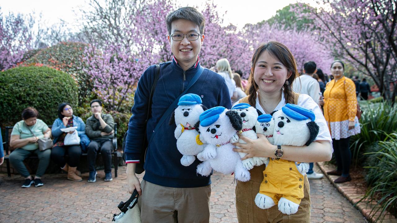 Visitors were keen to return to the Cherry Blossom Festival for the first time since 2019. Picture: Christian Gilles