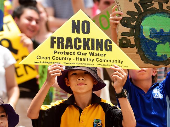 Protestors of all ages were in attendance on Friday for the Climate Change protest outside of NT Parliament House, as part of an Australia wide protest.Picture: Justin Kennedy