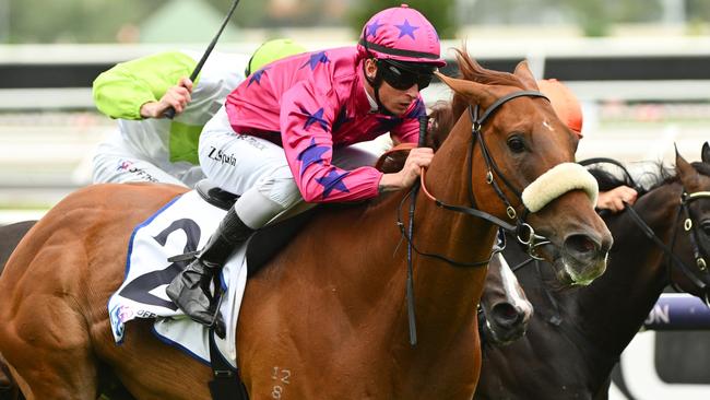 MELBOURNE, AUSTRALIA - JANUARY 13: Zac Spain riding Suparazi winning Race 9, the Off The Track Trophy, during Melbourne Racing at Flemington Racecourse on January 13, 2024 in Melbourne, Australia. (Photo by Vince Caligiuri/Getty Images)