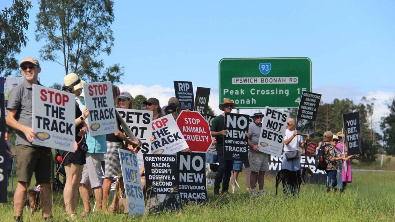 Hundreds protest the Ipswich Purga Track in March. Picture: Animal Liberation Queensland