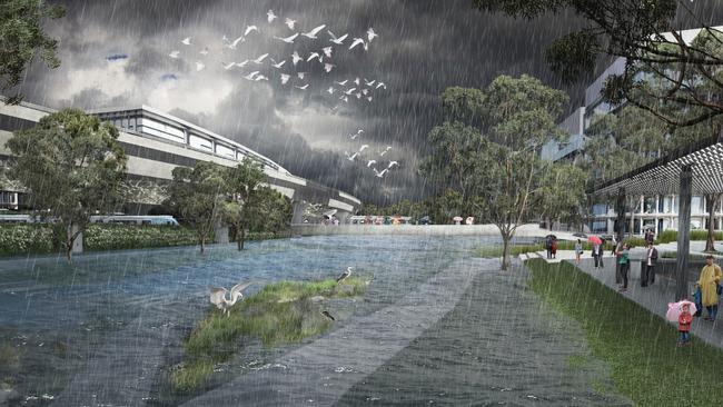 City of Melbourne has plans to revitalise Moonee Ponds Creek.