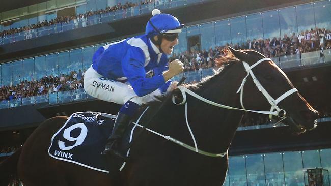 Winx will have her final race in the Queen Elizabeth Stakes on Saturday. Picture: Getty Images 