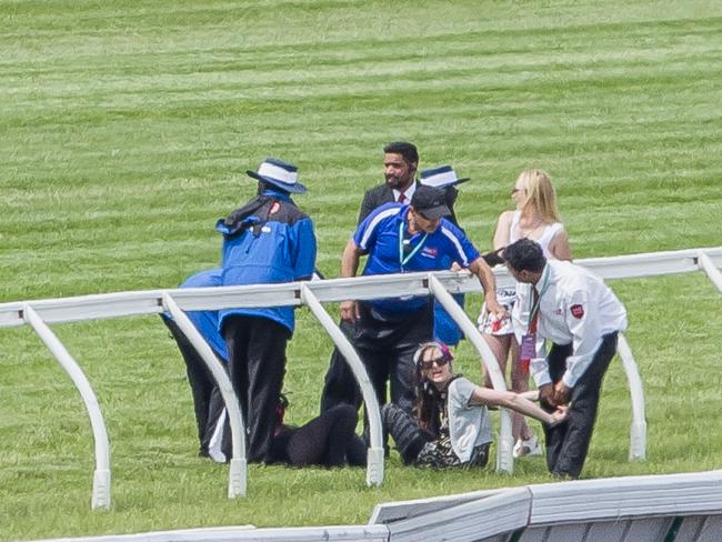 Protesters chained themselves to the fence.