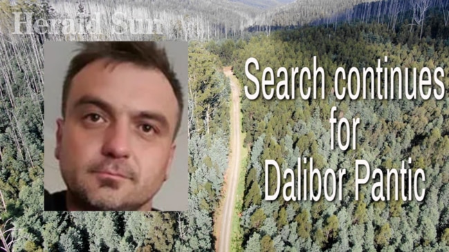 Search continues for Dalibor Pantic