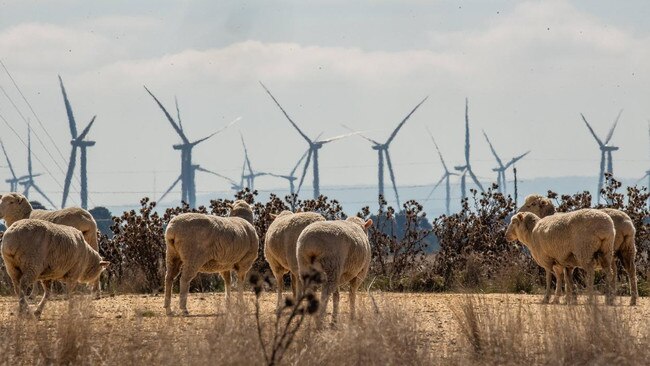 Wind turbines for green electricity production near Ballan in Victoria's west. Picture: Jason Edwards