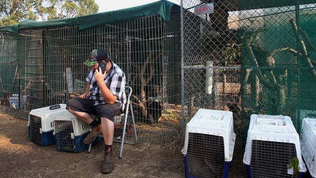 Sam Mitchell on the phone on Thursday, as he prepares to defend the wildlife park. Picture: Lisa Maree Williams/Getty