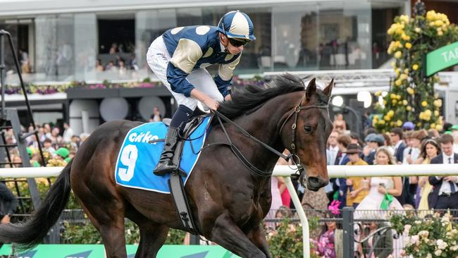 Nadal is second favourite for The Meteorite at Cranbourne. Picture: George Sal/Racing Photos via Getty Images