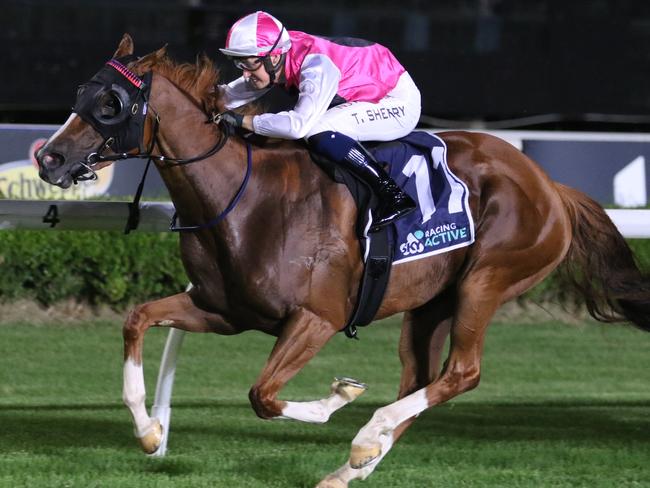 Expat looks hard to beat in Race 4 at Rosehill Gardens on Saturday. Picture: Grant Guy