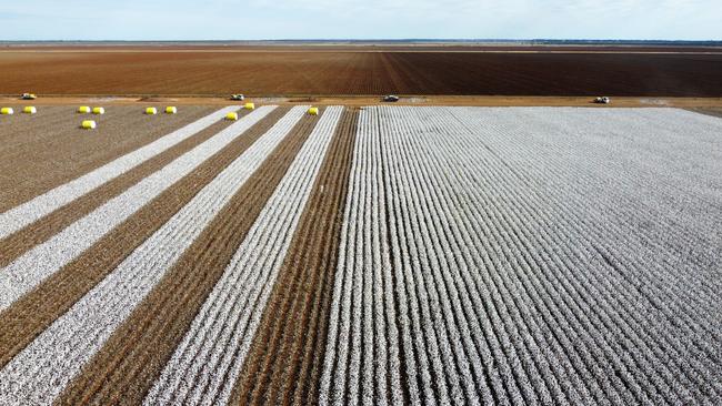 Gundaline station has been run by Customised Farm Management in recent years.