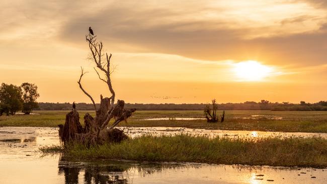 Federal Environment Minister Sussan Ley has promised Kakadu National Park’s traditional owners she will find a resolution to their issues that have sparked a crisis of confidence in management of the heritage-listed park. Picture: Tourism NT/ Michael Costa