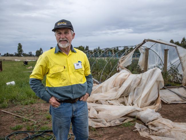 Flood recovery volunteer and BlazeAid Bridgewater camp co-ordinator Graeme Allen is pictured at Martin’s Tomatoes assessing the devastation. Picture: Jason Edwards