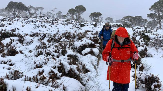 Hiking the Overland Track in freezing conditions.