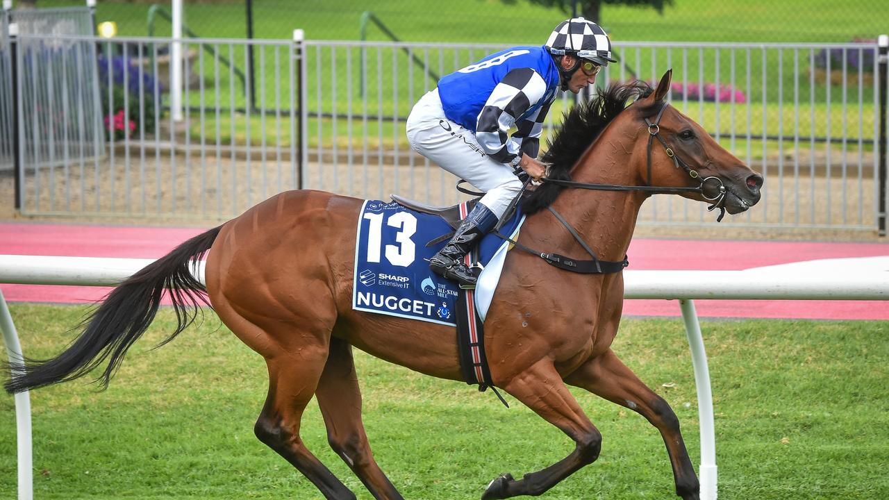 Nugget (GB) raced in the All-Star Mile last start. Picture: Racing Photos via Getty Images