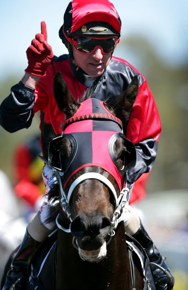 Jim Cassidy returns to scale on Hoylonny at Rosehill. Picture: Gregg Porteous