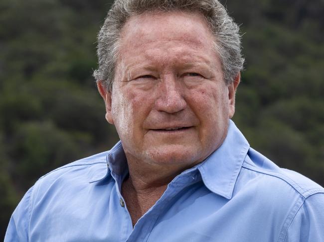 Andrew Forrest pictured along Swan River, Perth WA. Forrest has written a letter to Facebook CEO Mark Zuckerberg criticising his lack of action over fake ads.PHOTO: MARIE NIRME