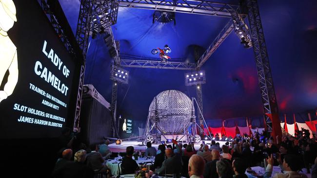 A circus performer soars above the crowd on a motorbike at last night’s The Everest barrier draw at Royal Randwick. Picture: Richard Dobson